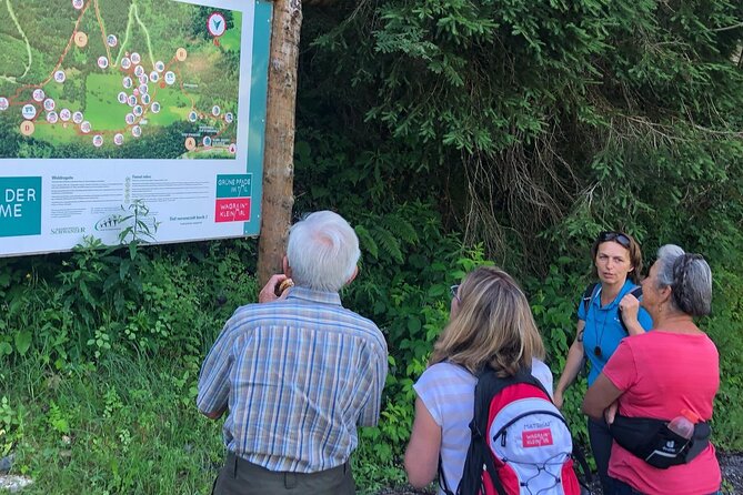 Power of Trees Private Tasting Tour - Following the 3-kilometre Power of Trees trail