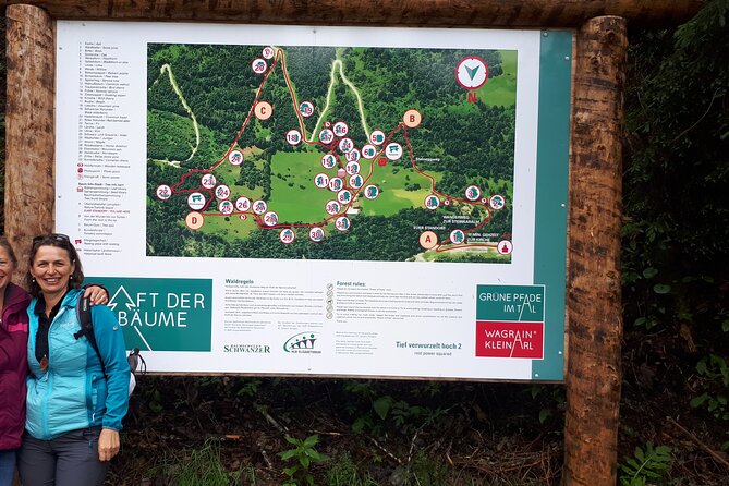 Power of Trees Private Tasting Tour - The strongest reasons to book