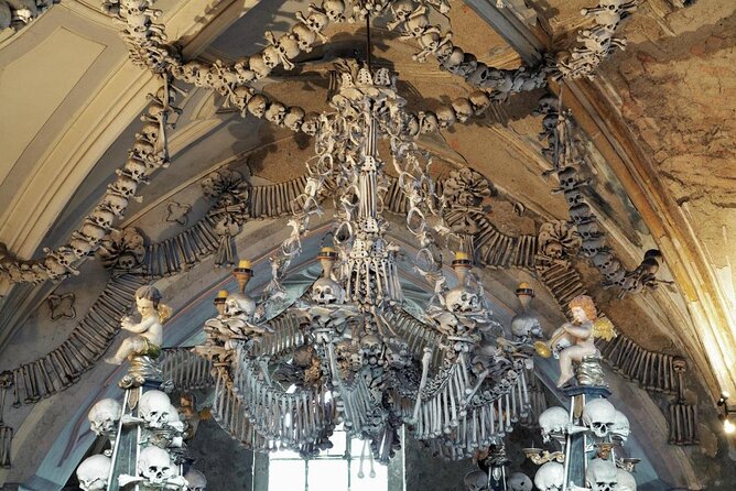 Prague-Vienna One-Way Sightseeing Day Tour - Key points to know before booking