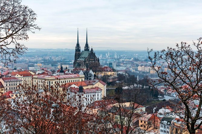 Prague-Vienna One-Way Sightseeing Day Tour - What the private vehicle adds