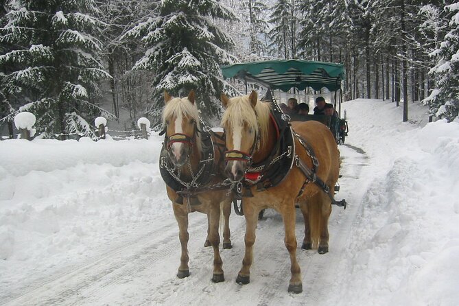 Private Horse-Drawn Sleigh Ride from Salzburg - Key points before you book