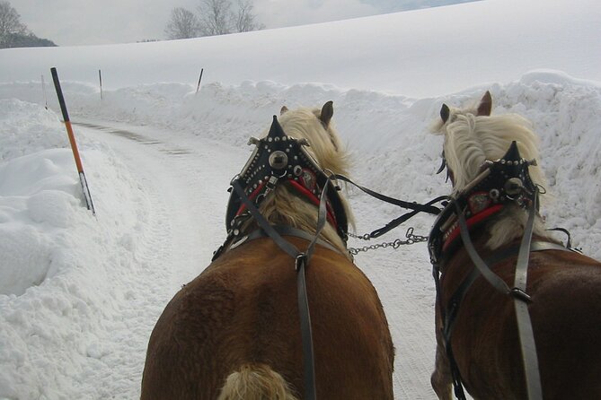 Private Horse-Drawn Sleigh Ride from Salzburg - Leaving Salzburg for the mountain country