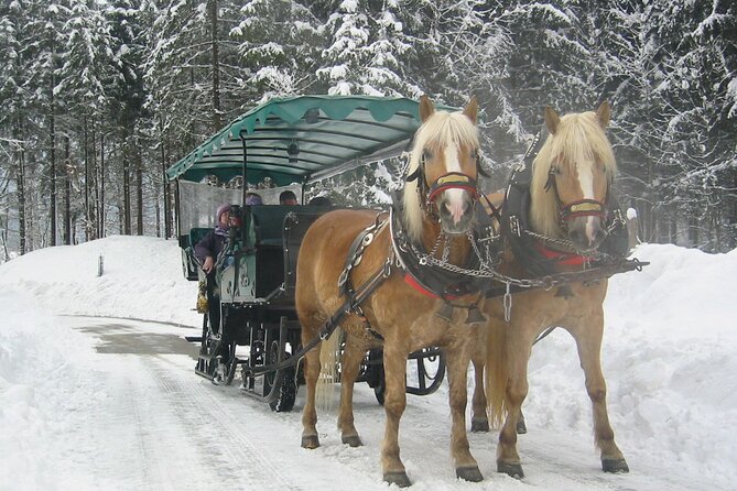 Private Horse-Drawn Sleigh Ride from Salzburg - Snow is not a minor detail