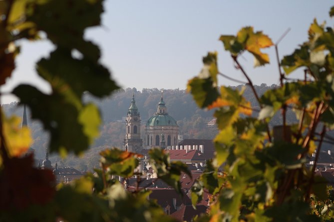 Private Scenic Transfer from Salzburg to Prague with 4h of Sightseeing - Booking details worth handling early