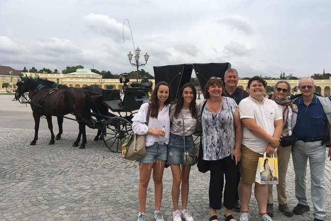 Private Schönbrunn Palace and Gardens Tour - The Baroque gardens and the 45-minute walk to the Gloriette