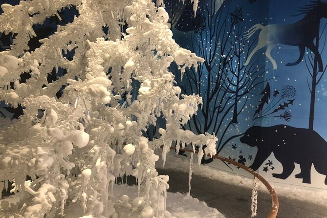 Private Tour of Swarovski Crystal World from Innsbruck - Who will enjoy this experience most