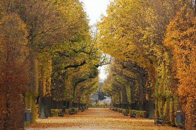 Private transfer from Salzburg to Vienna, 2 hours for sightseeing - The driver’s role, and what not to expect