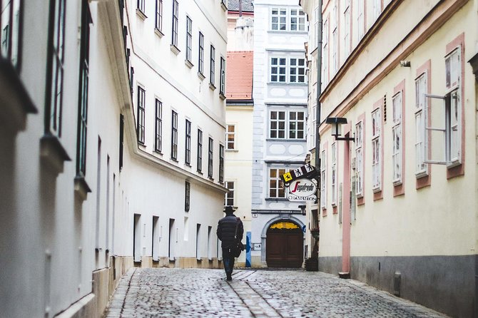 Private transfer from Salzburg to Vienna with 4h of Sightseeing - Is $402.53 Per Person a Fair Price?