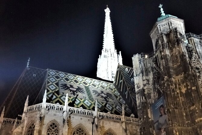 Private Vienna Evening Walk — Orientation for Your First Night - Walking the Hofburg’s eight courtyards
