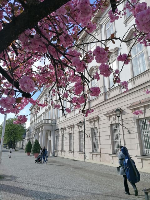 Salzburg: Classical Music Concert at the Mirabell - What the 75-minute performance feels like