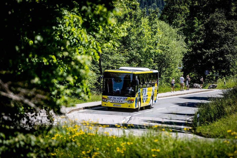 Salzburg: Hop-on Hop-off City Tour - Who should book this bus?