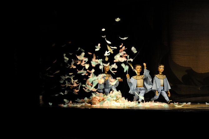 Salzburg Marionette Theater: The Magic Flute - Timing, transport, and useful planning details