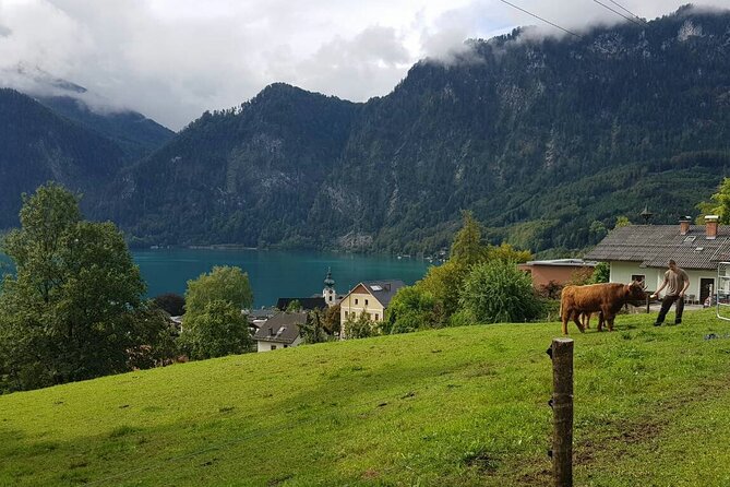 Salzburg: Small-Group Day Trip from Vienna - The return journey and The Sound of Music