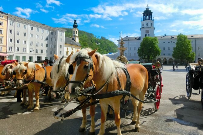 Salzburg: Small-Group Day Trip from Vienna - From the Vienna Woods to Melk Abbey