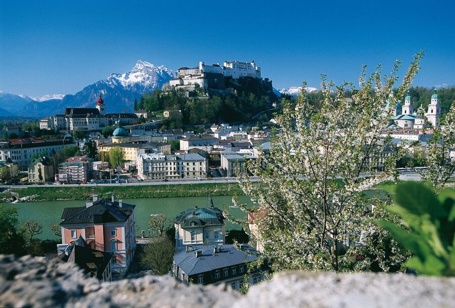 Salzburg: Sound of Music Private Half-Day Tour - Key points to know before booking