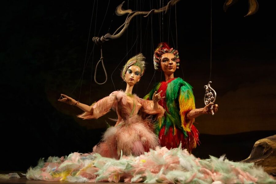 Salzburg: The Magic Flute at Marionette Theater Ticket - The best parts for families