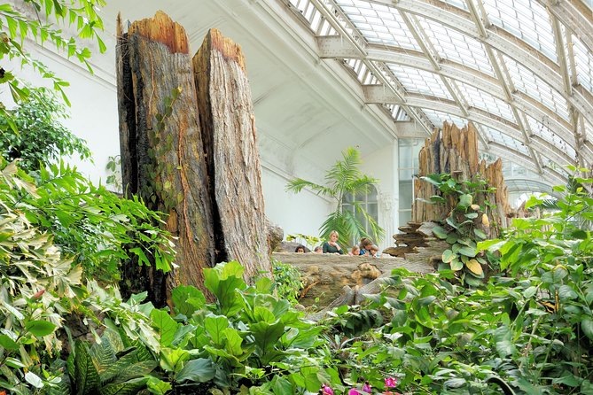 Schmetterlinghaus - Imperial Butterfly House Vienna Admission Ticket - Entering the Palm House beside the Hofburg
