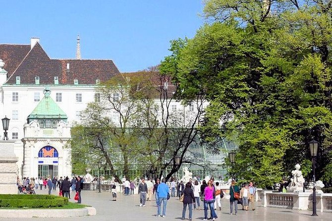 Schmetterlinghaus - Imperial Butterfly House Vienna Admission Ticket - What you may see, and what you may not