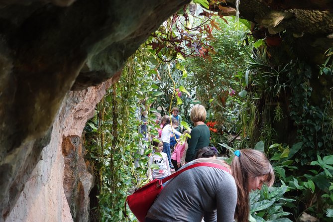 Schmetterlinghaus - Imperial Butterfly House Vienna Admission Ticket - How to make the short visit worthwhile