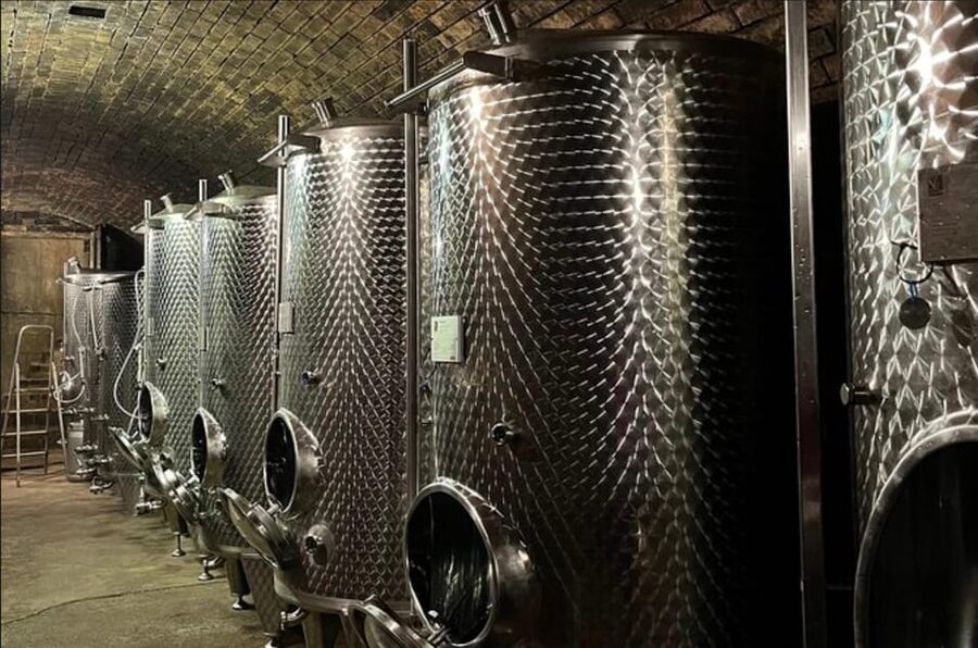 Taste and Tour Small Organic Wineries with a Winemaker - Should you book this wine experience?