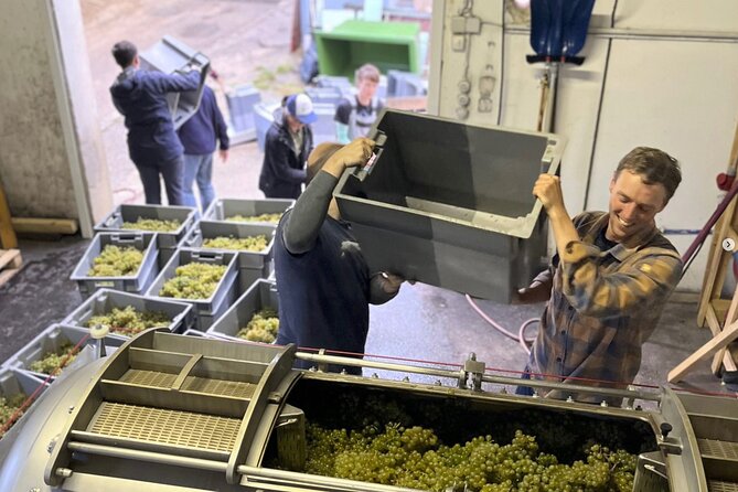 Taste and Tour Small Organic Wineries with a Winemaker - Why this is different from a standard wine tasting