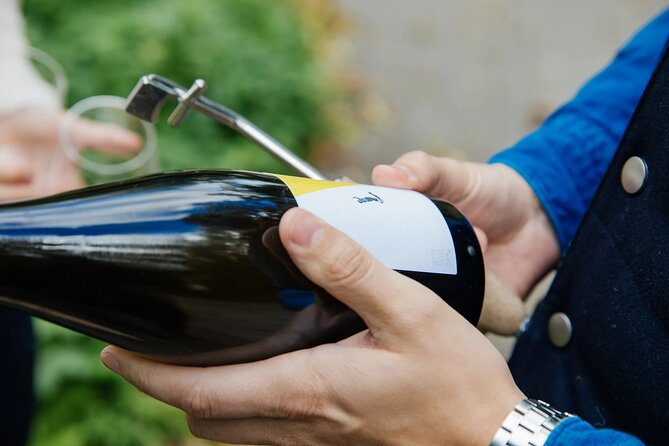 Taste and Tour Small Organic Wineries with a Winemaker - Stops two and three: small cellars with real human contact
