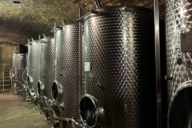 Taste and Tour Small Organic Wineries with a Winemaker - Who will enjoy this, and who should think twice