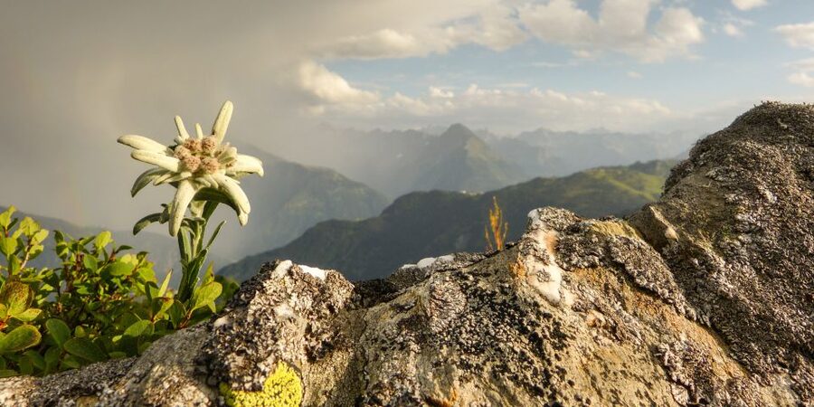 The Hills Are Alive Private "Do-Re-Mi" Tour - Into the Bavarian Alps and the opening scene