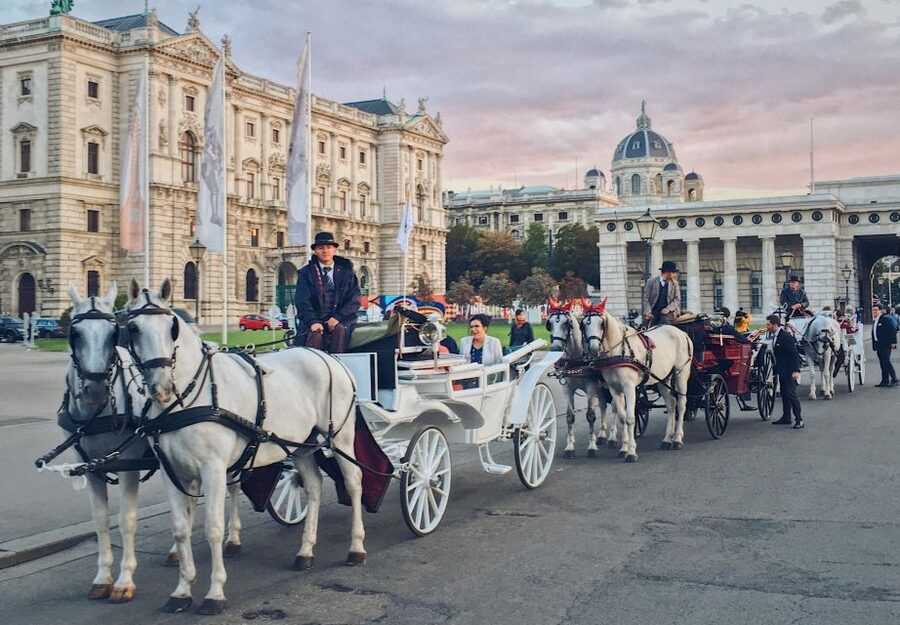 Vienna: 30-Minute Fiaker Ride in the Old Town - Why a Vienna Fiaker ride works so well