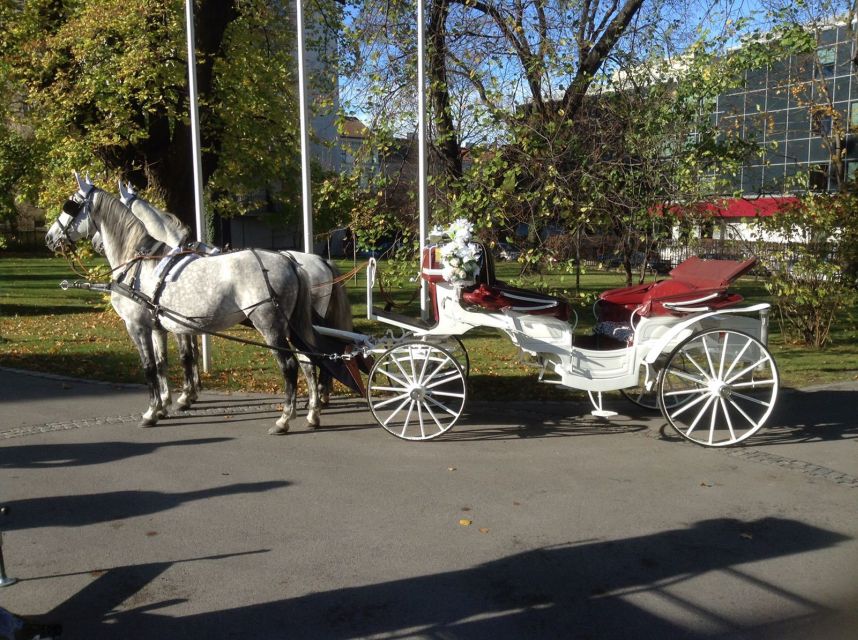 Vienna: 30-Minute Fiaker Ride in the Old Town - Parliament and the statue of Pallas Athene
