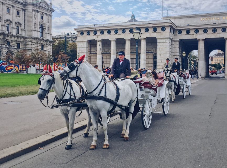 Vienna: 30-Minute Fiaker Ride in the Old Town - What the horses and coachmen add