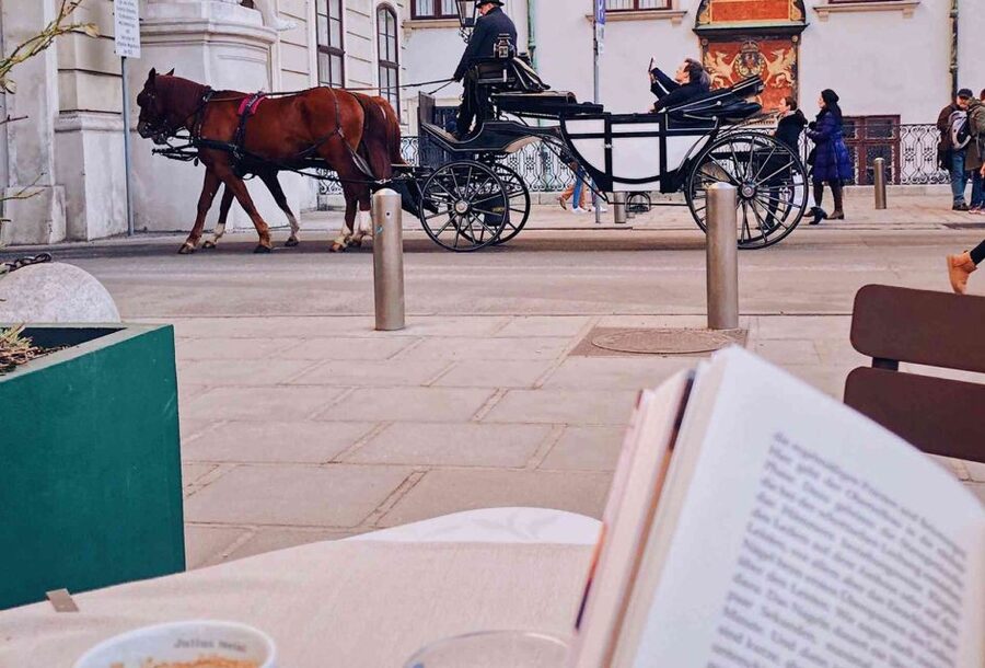 Vienna: 30-Minute Fiaker Ride in the Old Town - Finding the carriage beside St. Stephen’s Cathedral or at Michaelerplatz