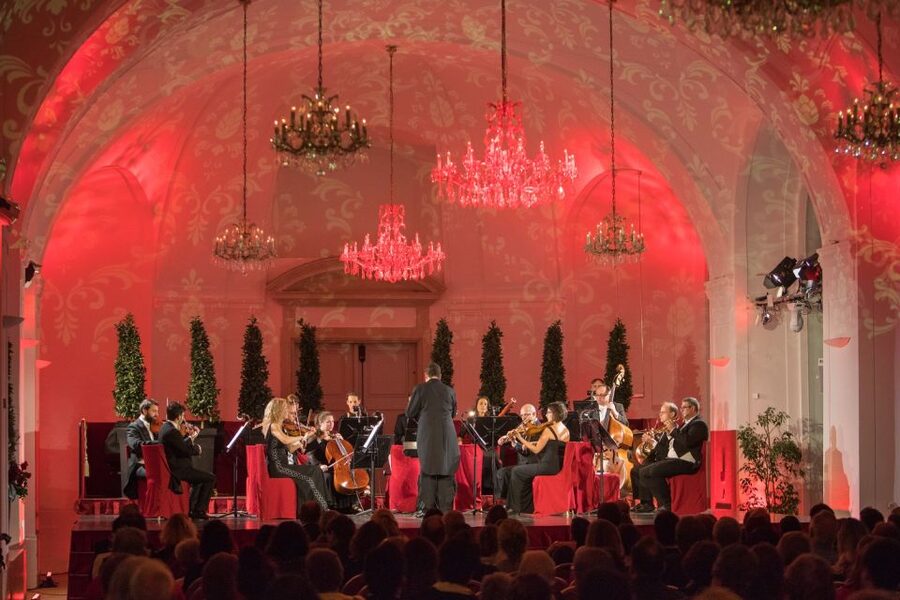 Vienna: After-Hours Schönbrunn Palace Entry & Concert Ticket - Who will enjoy this Schönbrunn evening?