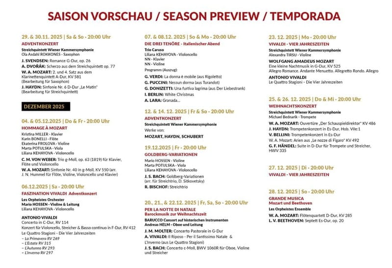 Vienna: Classical Concerts in the Minorite Church Ticket - Practical advice for planning your evening