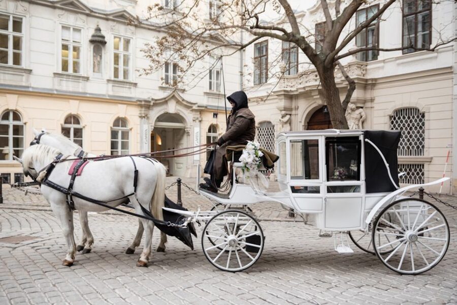 Vienna: Culinary Horse-Drawn Carriage Experience - Who Will Enjoy It Most?