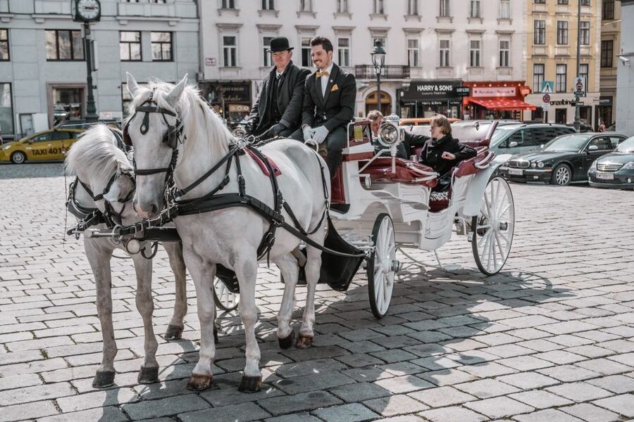 Vienna: Culinary Horse-Drawn Carriage Experience - Best Times to Book This Experience