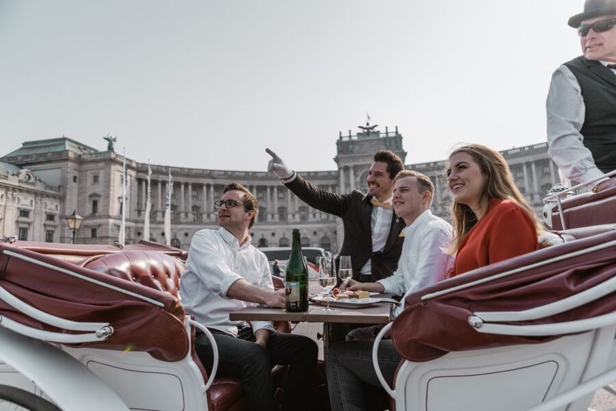 Vienna: Culinary Horse-Drawn Carriage Experience - What Happens During the 40-Minute to One-Hour Route