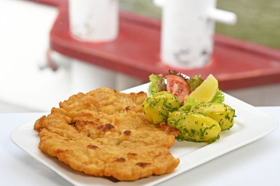 Vienna: Danube River Cruise w/ optional Viennese Specialties - The longer route through the Prater area
