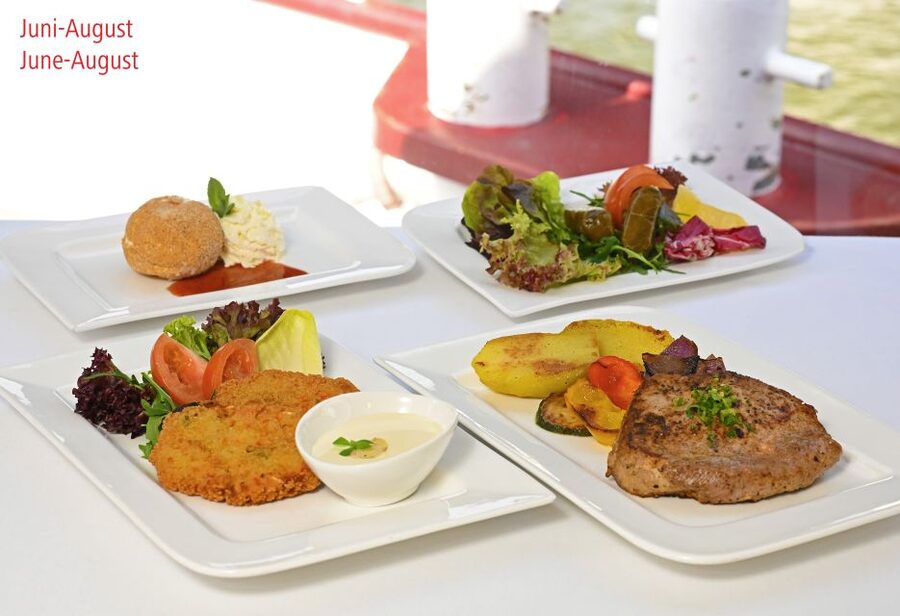Vienna: Danube River Cruise w/ optional Viennese Specialties - Who should choose the short route