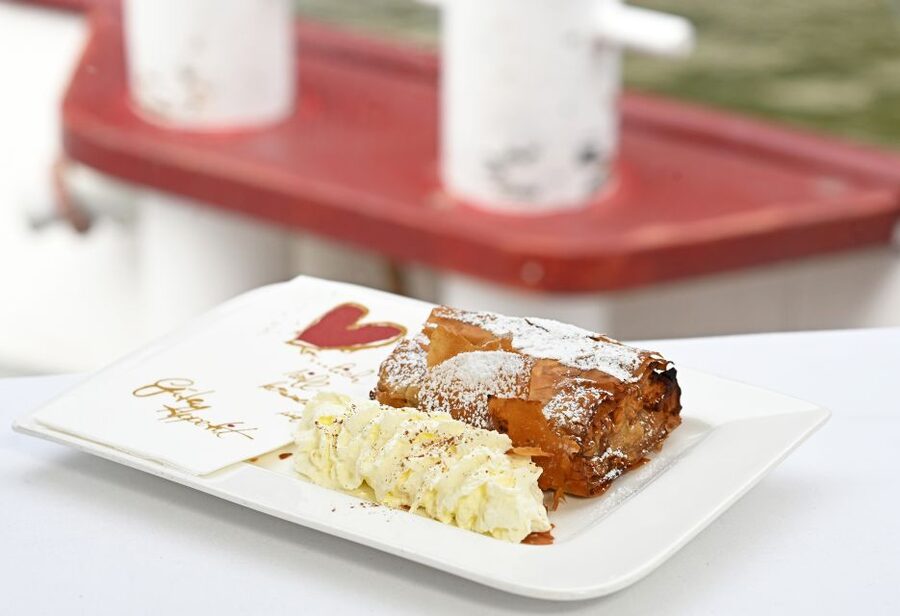 Vienna: Danube River Cruise w/ optional Viennese Specialties - The shorter route and modern Vienna