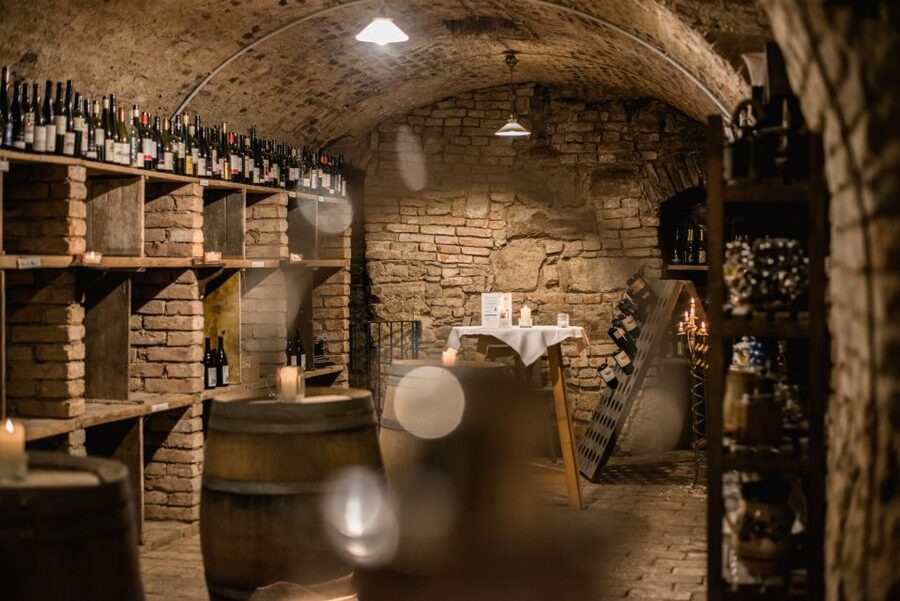 Vienna: Hidden Wine Cellars Tasting Experience - First cellar: an introduction to Viennese wine