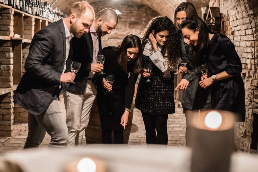 Vienna: Hidden Wine Cellars Tasting Experience - English and German commentary