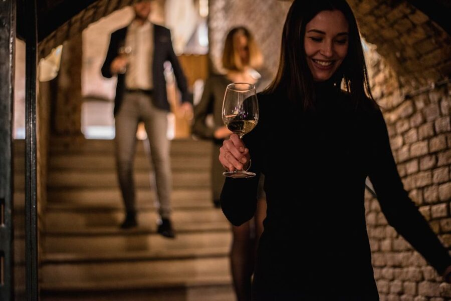 Vienna: Hidden Wine Cellars Tasting Experience - Meeting at Stephansplatz and heading underground