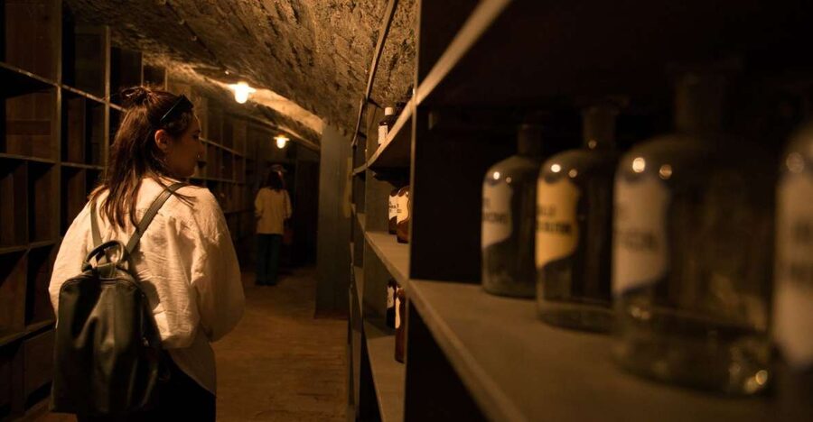 Vienna: Historical Pharmacy Cellar Guided Tour - Starting at Schutzengel Apotheke on Taubstummengasse