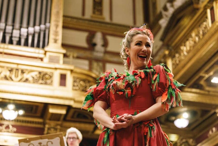 Vienna: Mozart Concert at the Vienna State Opera - Comfort, timing, and small practical concerns
