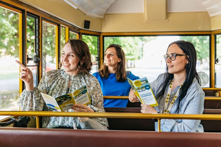 Vienna: Panorama Train Tickets to explore Schönbrunn Palace - Who should book this experience?