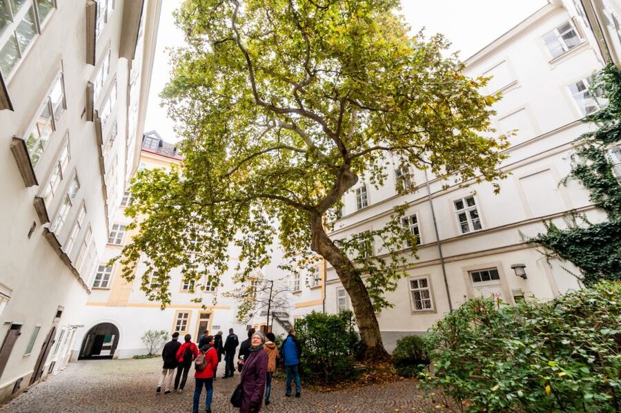 Vienna: Romantic Old Town 2-Hour Discovery Tour - Myths, animals, and the stories behind the stone
