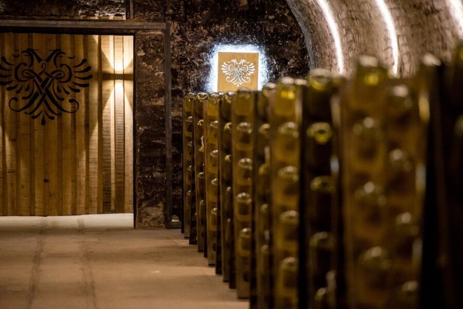 Vienna: Schlumberger Wine Cellar Guided or Self-Guided Tour - Trying the hand-riddling method