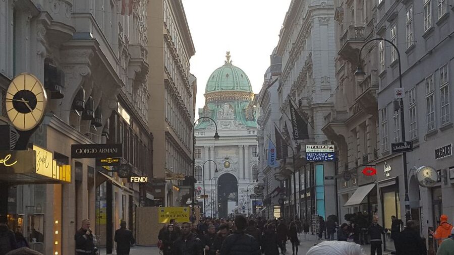 Vienna: Schönbrunn Palace and City Center Guided Tour - Walking, weather, and what to carry