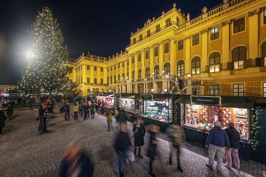 Vienna: Schönbrunn Palace & Christmas Market Walking Tour - Inside Schönbrunn Palace With a Live Guide
